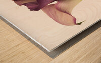 Calla Lilies Wood print