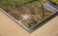 Countryside Road Wood print
