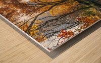 Central Park Wood print
