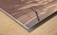 St Marks square Wood print