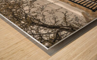 Park benches Wood print