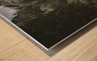 saent waterfall in trentino alto adige Wood print