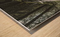 wood bridge near saent waterfall  Wood print