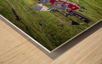 house in mykines Wood print