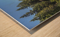 view of sciury Wood print