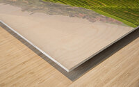 china rice field Wood print