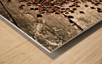 espresso and coffee grain Wood print
