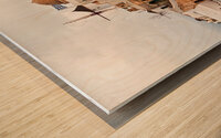 oai santorini view Wood print
