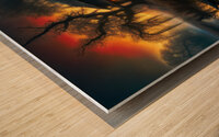 PENETRATING Wood print