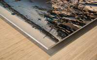 Shrimp Boats in San Carlos Post-Ian 2 Wood print