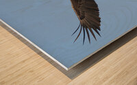 Soaring Wood print