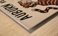 vintage alabama auburn cartoon art Wood print
