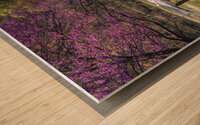Wooden bench view of Valley Falls on spring morning Wood print