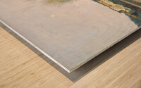 Ville d’Avray Wood print