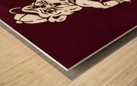 Vintage Miss State U Wood print