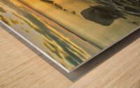 Golden Light Wood print