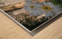 The Lion Monument of Lucerne Switzerland Wood print