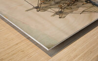 7D35D15E DD0A 4B1B 8B13 7FC2728E2F9A Wood print