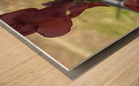 CFBFB6EF 4876 41C4 B382 6A43F3E958EB Wood print
