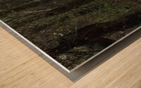 FA48C97A 2E25 479A B3B0 6118F39ABAE2 Wood print