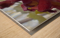 2DBE9E56 ADC6 4888 AEAF E65780A73798 Wood print