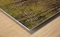254CCCC2 0196 4594 BA2A 1351A2ED2A7B Wood print