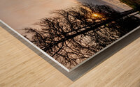 Foggy Morning Lake Shoreline Wood print