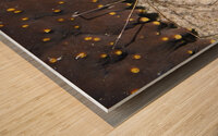 Fragile Wood print