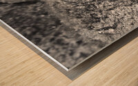 Crawler Wood print