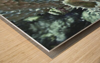 Protrudes Wood print