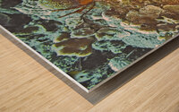 Plates Wood print