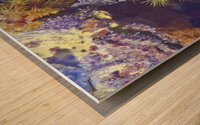 Expansive Wood print
