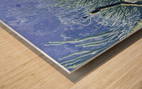Scenery Wood print