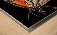 Monarch Wood print