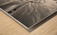 Omaha Skate Ribbon Morning Sunburst Grayscale Wood print