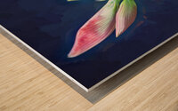 Sweet Lillian Amaryllis X1 1 Wood print