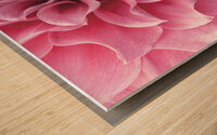 Dahlia Petals Wood print