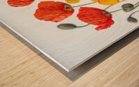 Multi coloured Poppies Wood print