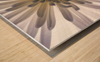 Chrysanthemums Wood print