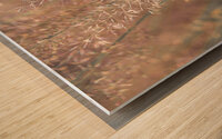 Fountain Grass Wood print