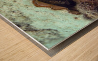 Conch Wood print
