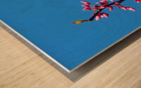 Eastern Redbud Blue Sky Wood print