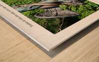 JE T OFFRE UNE PLUME Wood print