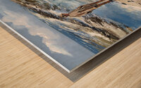Seagulls and a Man Wood print