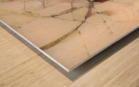 ABSTRACT ARCHITECTURE Wood print