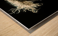 Ethereal Beauty - Ethereal Charms Wood print
