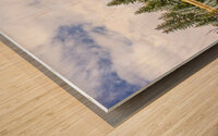 Schwabacher Wood print