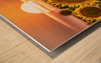 sunflower with sunrise Wood print
