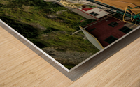 Lenny Hanlon NS Wood print