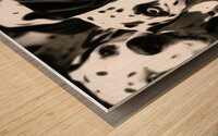 Dalmatian Mix - Curious Dog Wood print